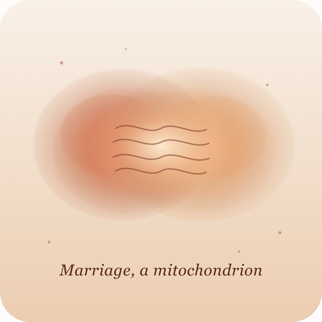 Marriage